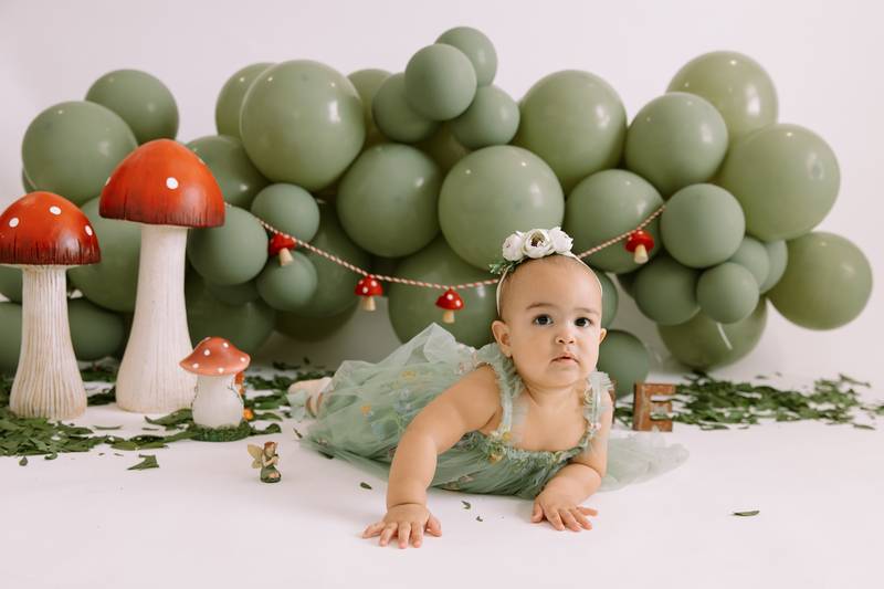 Milestone mini session photograph by Ana Rousseau Photography, Cape Coral FL