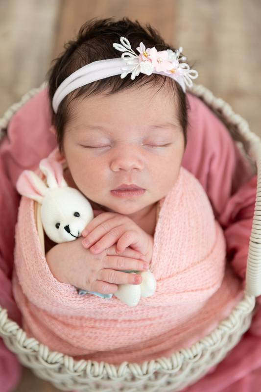 Newborn session photograph by Ana Rousseau Photography, Cape Coral FL