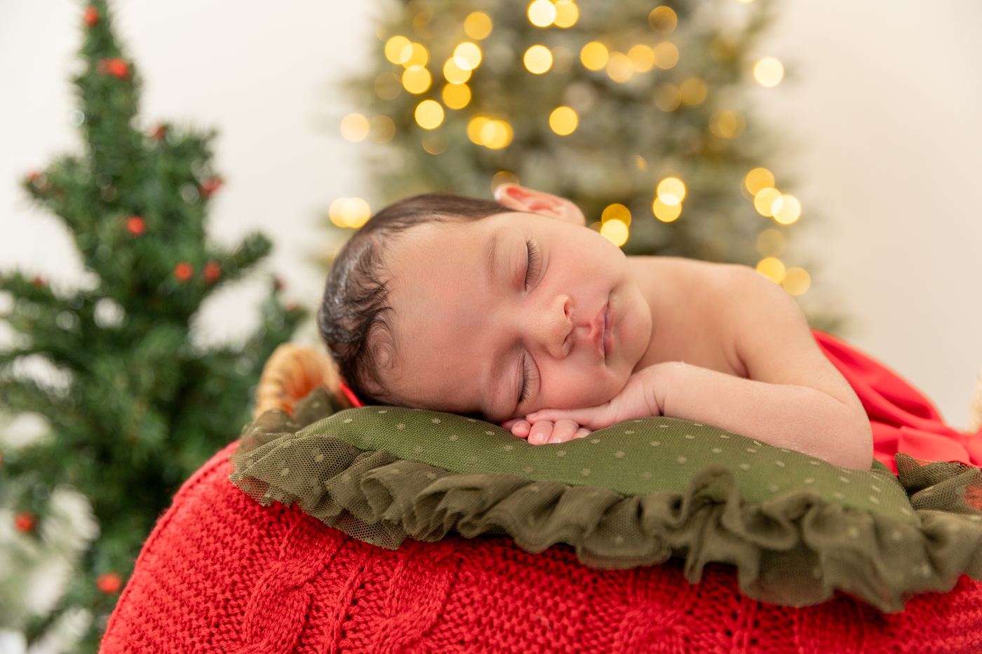Sleeping newborn on a red knit blanket beside the Christmas tree at the Cape Coral studio